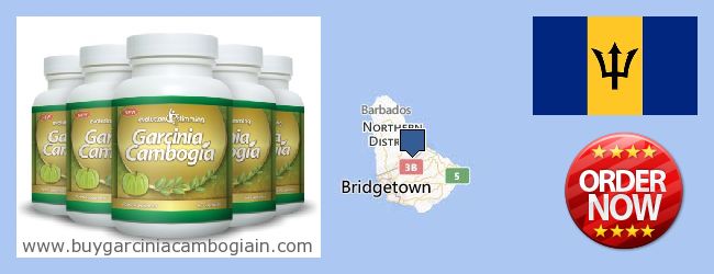 Hvor kan jeg købe Garcinia Cambogia Extract online Barbados