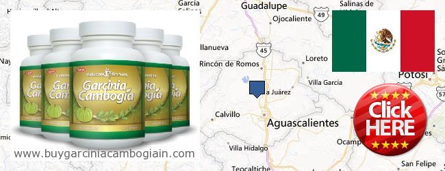 Where to Buy Garcinia Cambogia Extract online Aguascalientes, Mexico