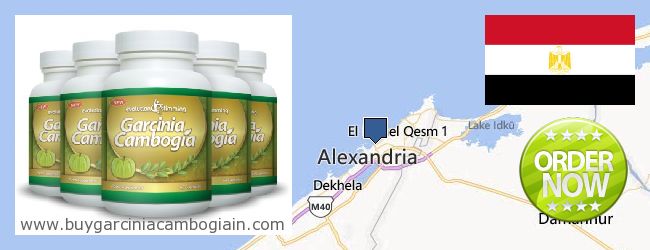 Where to Buy Garcinia Cambogia Extract online Alexandria, Egypt