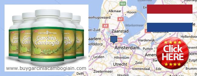 Where to Buy Garcinia Cambogia Extract online Amsterdam, Netherlands