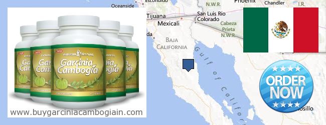 Where to Buy Garcinia Cambogia Extract online Baja California, Mexico