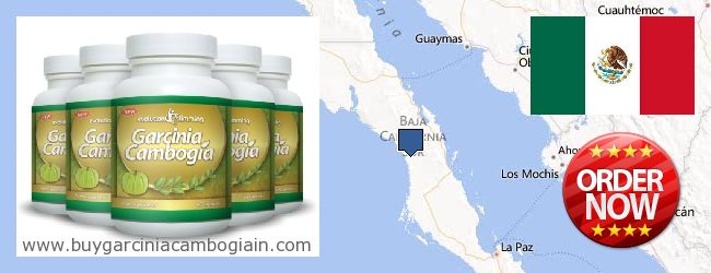 Where to Buy Garcinia Cambogia Extract online Baja California Sur, Mexico