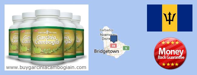 Where to Buy Garcinia Cambogia Extract online Barbados