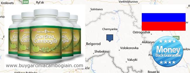 Where to Buy Garcinia Cambogia Extract online Belgorodskaya oblast, Russia