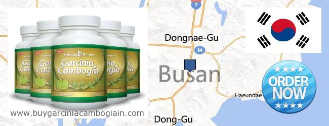 Where to Buy Garcinia Cambogia Extract online Busan [Pusan] 부산, South Korea