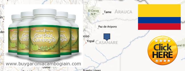 Buy Garcinia Cambogia Extract online Casanare, Colombia Where to Buy Garcinia Cambogia Extract online Casanare, Colombia