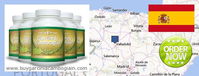 Where to Buy Garcinia Cambogia Extract online Castilla y León, Spain