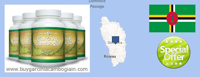 Buy Garcinia Cambogia Extract online Dominica Where to Buy Garcinia Cambogia Extract online Dominica
