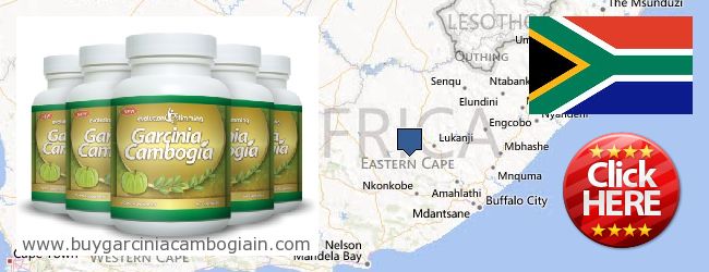 Where to Buy Garcinia Cambogia Extract online Eastern Cape, South Africa