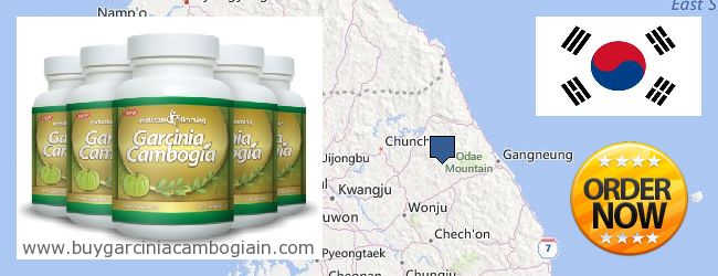 Where to Buy Garcinia Cambogia Extract online Gangwon-do (Kangwŏn-do) 강원, South Korea