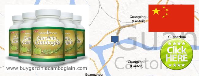 Where to Buy Garcinia Cambogia Extract online Guangzhou, China