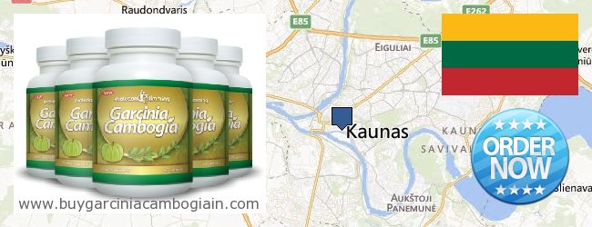 Where to Buy Garcinia Cambogia Extract online Kaunas, Lithuania