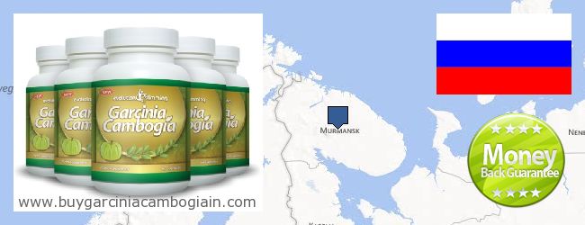 Where to Buy Garcinia Cambogia Extract online Murmanskaya oblast, Russia