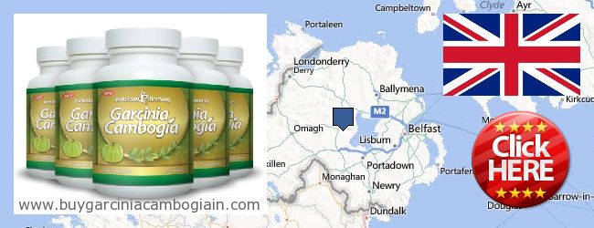 Where to Buy Garcinia Cambogia Extract online Northern Ireland, United Kingdom