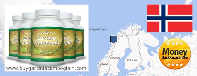 Buy Garcinia Cambogia Extract online Norway Where to Buy Garcinia Cambogia Extract online Norway