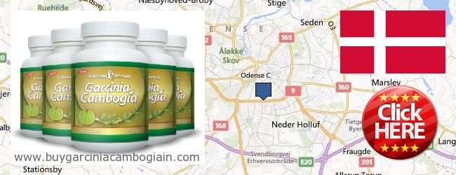 Where to Buy Garcinia Cambogia Extract online Odense, Denmark