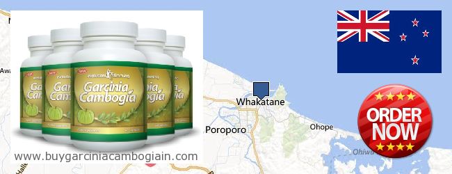 Where to Buy Garcinia Cambogia Extract online Whakatane, New Zealand