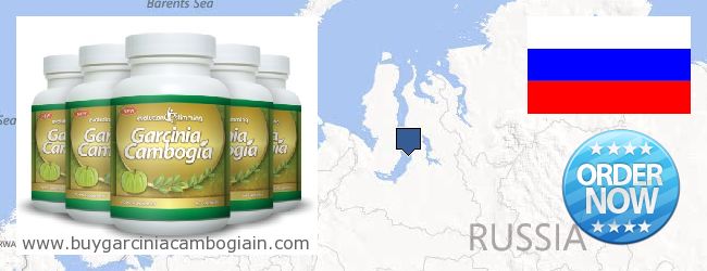 Where to Buy Garcinia Cambogia Extract online Yamalo-Nenetskiy avtonomnyy okrug, Russia
