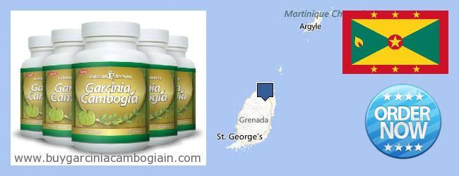 Onde Comprar Garcinia Cambogia Extract on-line Grenada