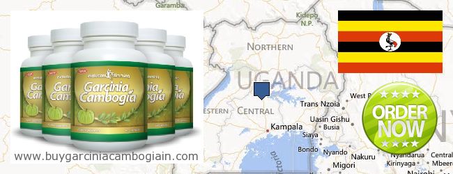 Onde Comprar Garcinia Cambogia Extract on-line Uganda