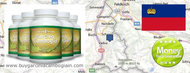 Unde să cumpărați Garcinia Cambogia Extract on-line Liechtenstein