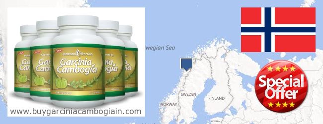 Unde să cumpărați Garcinia Cambogia Extract on-line Norway