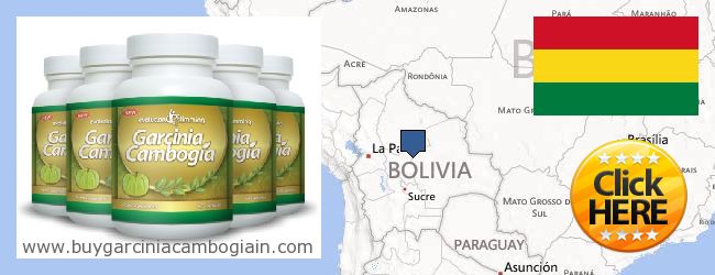 Wo kaufen Garcinia Cambogia Extract online Bolivia