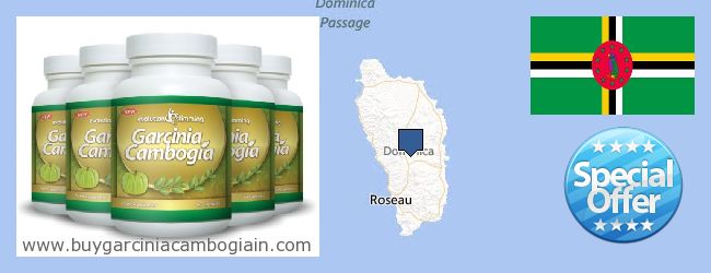 Kaufen Garcinia Cambogia Extract online Dominica Wo kaufen Garcinia Cambogia Extract online Dominica