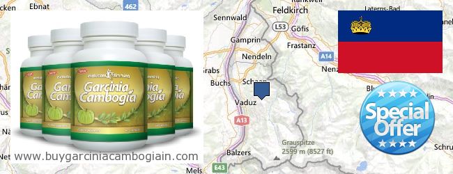 Wo kaufen Garcinia Cambogia Extract online Liechtenstein