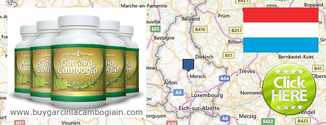 Wo kaufen Garcinia Cambogia Extract online Luxembourg