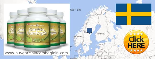 Wo kaufen Garcinia Cambogia Extract online Sweden