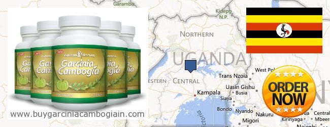 Wo kaufen Garcinia Cambogia Extract online Uganda