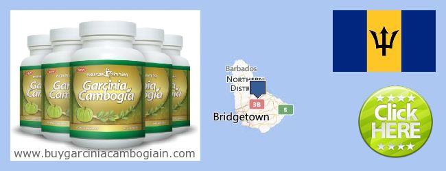 Keres Garcinia Cambogia Extract online Barbados Hol lehet megvásárolni Garcinia Cambogia Extract online Barbados