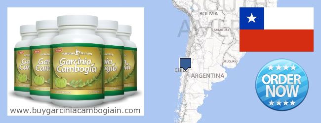 Waar te koop Garcinia Cambogia Extract online Chile