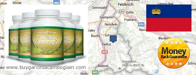 Waar te koop Garcinia Cambogia Extract online Liechtenstein