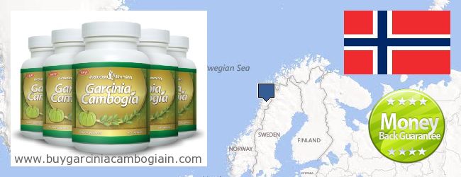 Waar te koop Garcinia Cambogia Extract online Norway