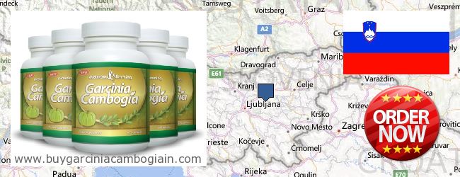 Waar te koop Garcinia Cambogia Extract online Slovenia