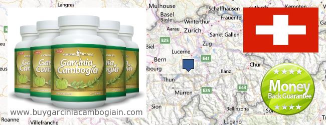 Waar te koop Garcinia Cambogia Extract online Switzerland