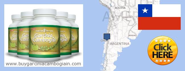 Kde koupit Garcinia Cambogia Extract on-line Chile