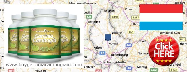 Kde koupit Garcinia Cambogia Extract on-line Luxembourg