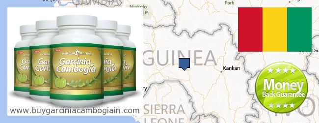Jälleenmyyjät Garcinia Cambogia Extract verkossa Guinea