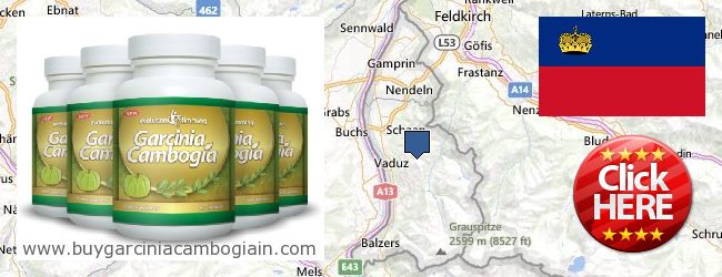 Jälleenmyyjät Garcinia Cambogia Extract verkossa Liechtenstein