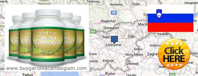 Jälleenmyyjät Garcinia Cambogia Extract verkossa Slovenia