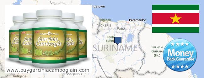 Jälleenmyyjät Garcinia Cambogia Extract verkossa Suriname