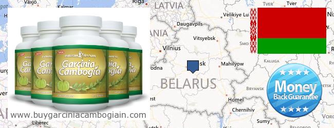 Где купить Garcinia Cambogia Extract онлайн Belarus