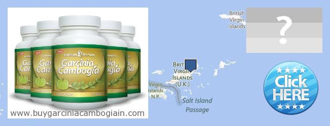 Где купить Garcinia Cambogia Extract онлайн British Virgin Islands