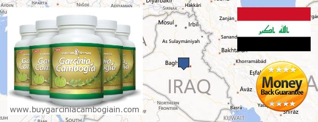 Где купить Garcinia Cambogia Extract онлайн Iraq