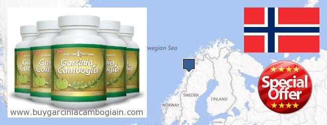Где купить Garcinia Cambogia Extract онлайн Norway