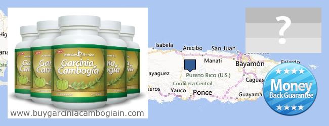 Где купить Garcinia Cambogia Extract онлайн Puerto Rico