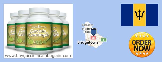Де купити Garcinia Cambogia Extract онлайн Barbados